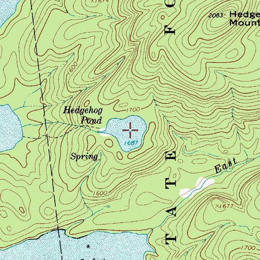 Topographic Map of Hedgehog Pond, NY