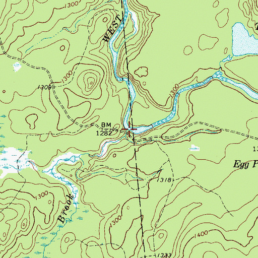 Topographic Map of Hogback Brook, NY