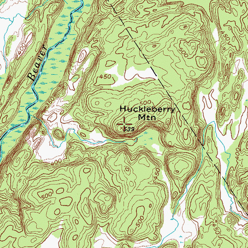 Topographic Map of Huckleberry Mountain, NY
