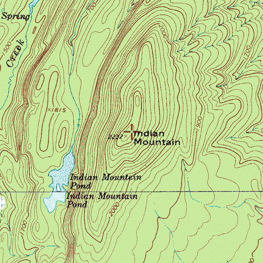 Topographic Map of Indian Mountain, NY