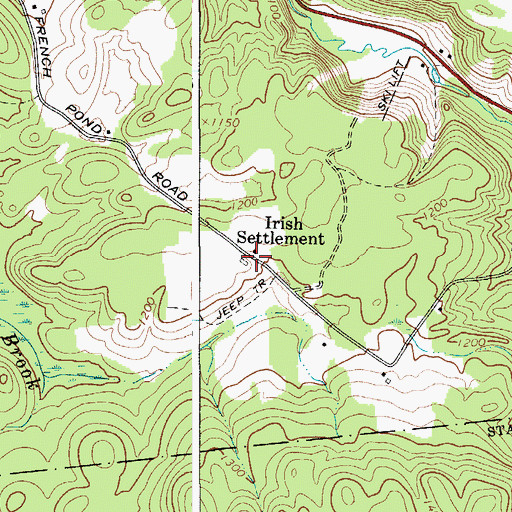Topographic Map of Irish Settlement, NY