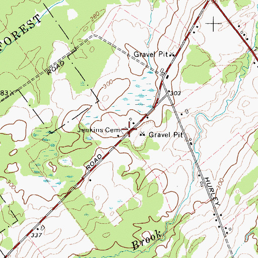 Topographic Map of Jenkins Cemetery, NY