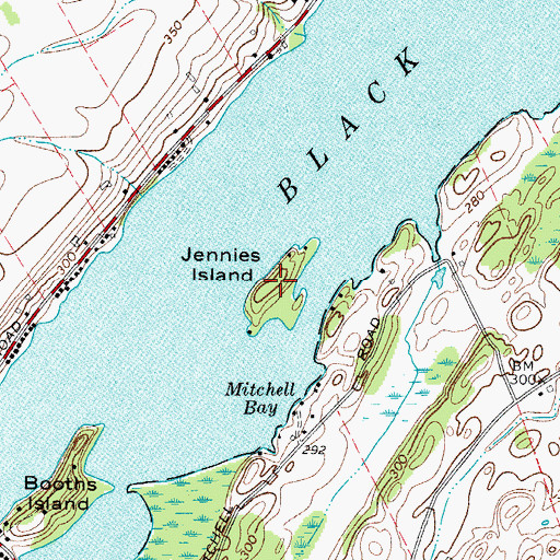 Topographic Map of Jennies Island, NY
