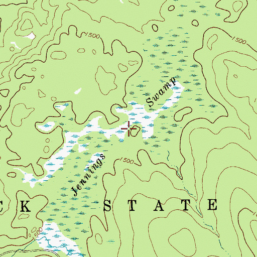 Topographic Map of Jennings Swamp, NY