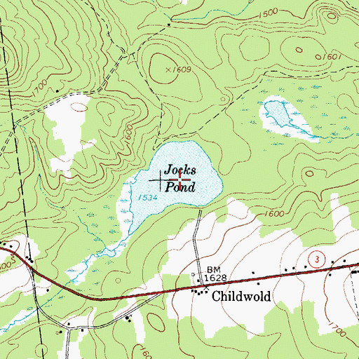 Topographic Map of Jocks Pond, NY