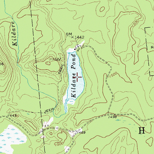 Topographic Map of Kildare Pond, NY