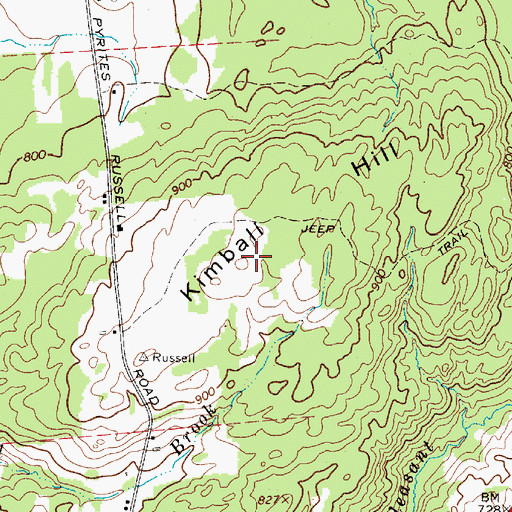 Topographic Map of Kimball Hill, NY