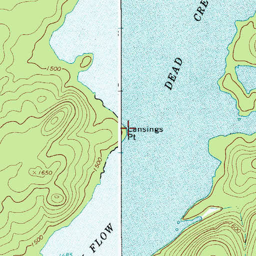 Topographic Map of Lansings Point, NY