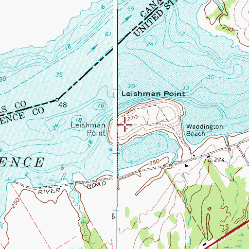 Topographic Map of Leishman Point, NY