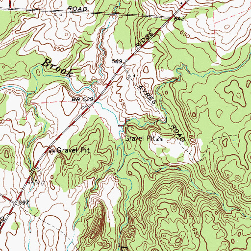 Topographic Map of Leonard Brook, NY