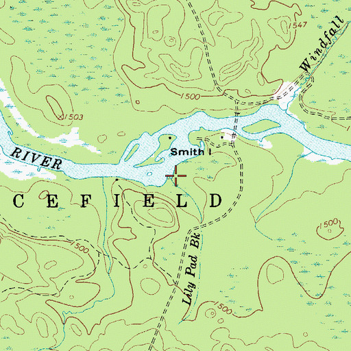 Topographic Map of Lily Pad Brook, NY