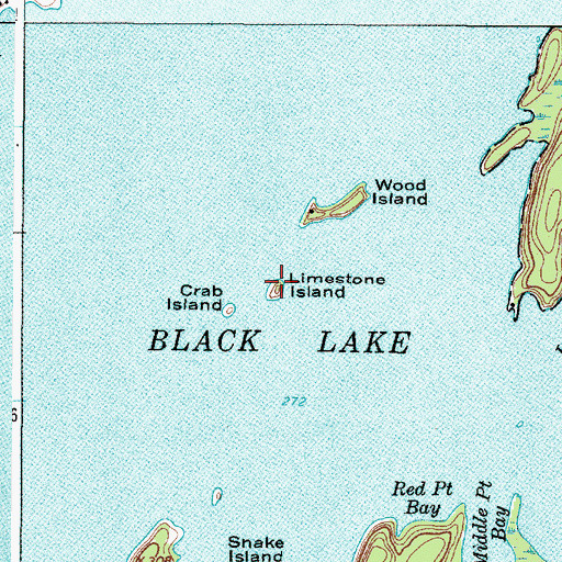 Topographic Map of Limestone Island, NY
