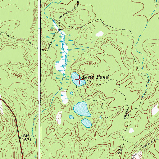 Topographic Map of Line Pond, NY