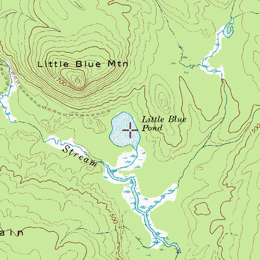 Topographic Map of Little Blue Pond, NY