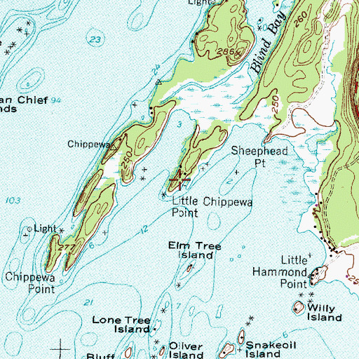 Topographic Map of Little Chippewa Point, NY