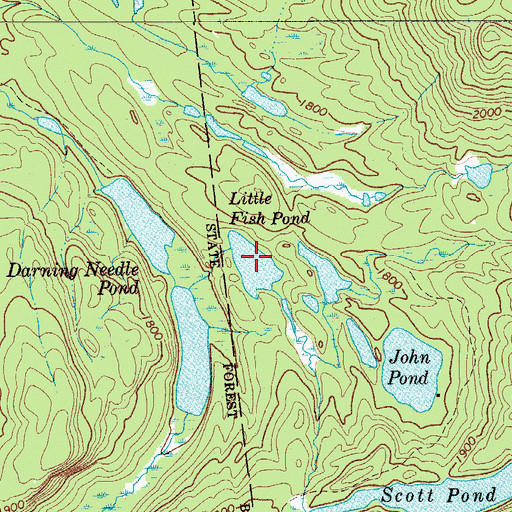 Topographic Map of Little Fish Pond, NY