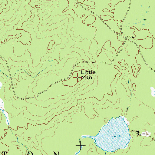 Topographic Map of Little Mountain, NY