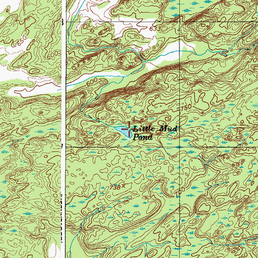 Topographic Map of Little Mud Pond, NY