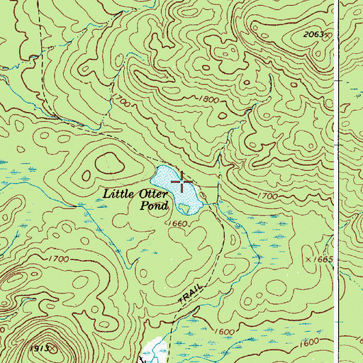 Topographic Map of Little Otter Pond, NY