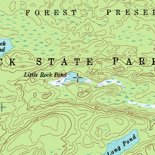 Topographic Map of Little Rock Pond, NY