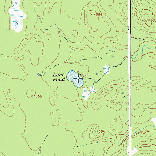 Topographic Map of Lone Pond, NY
