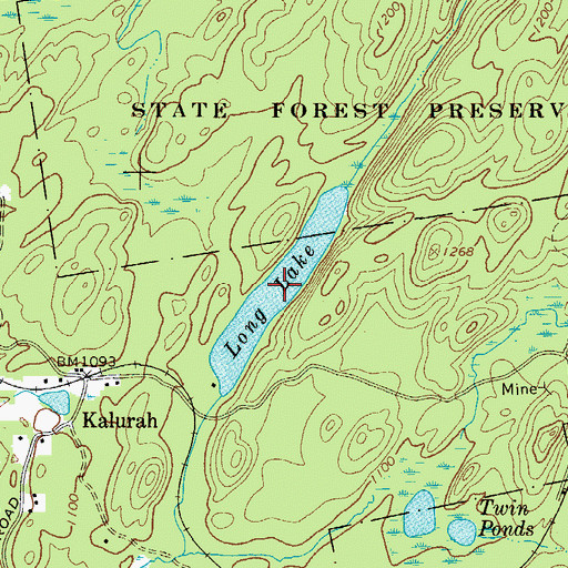Topographic Map of Long Lake, NY