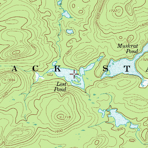 Topographic Map of Lost Pond, NY