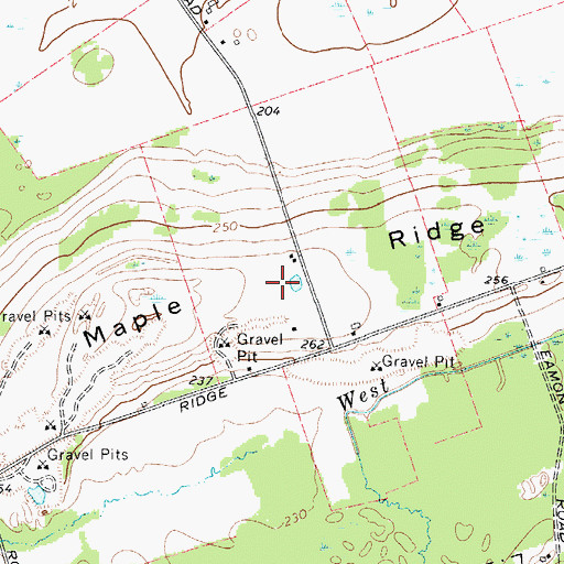 Topographic Map of Maple Ridge, NY