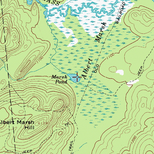 Topographic Map of Marsh Pond, NY