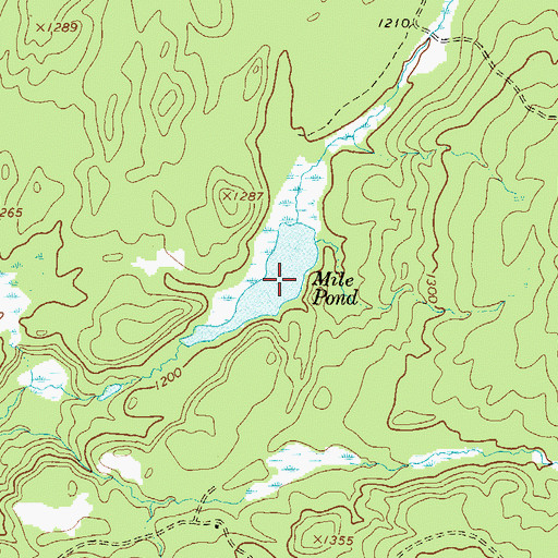 Topographic Map of Mile Pond, NY