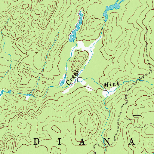 Topographic Map of Mink Creek, NY