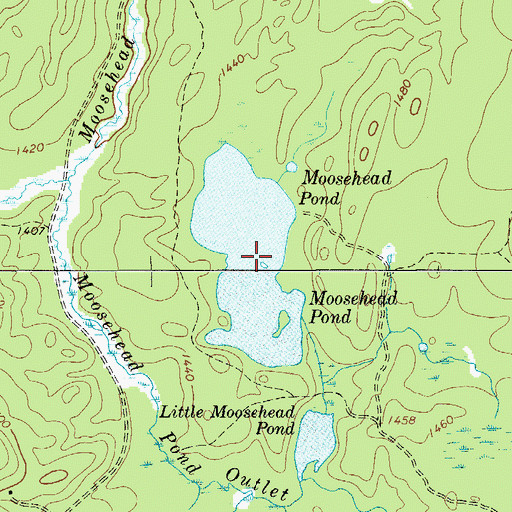 Topographic Map of Moosehead Pond, NY