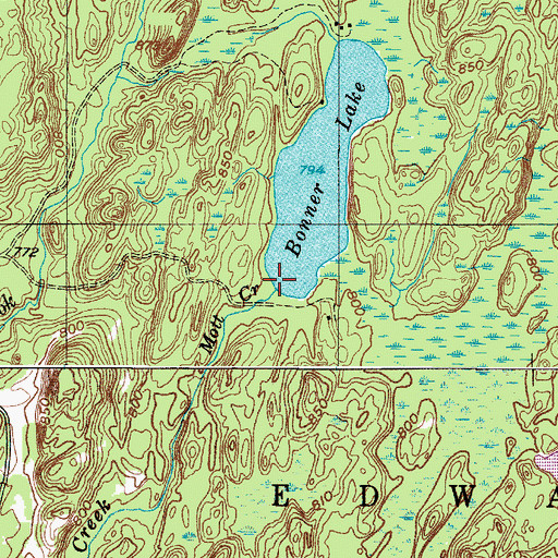 Topographic Map of Mott Creek, NY