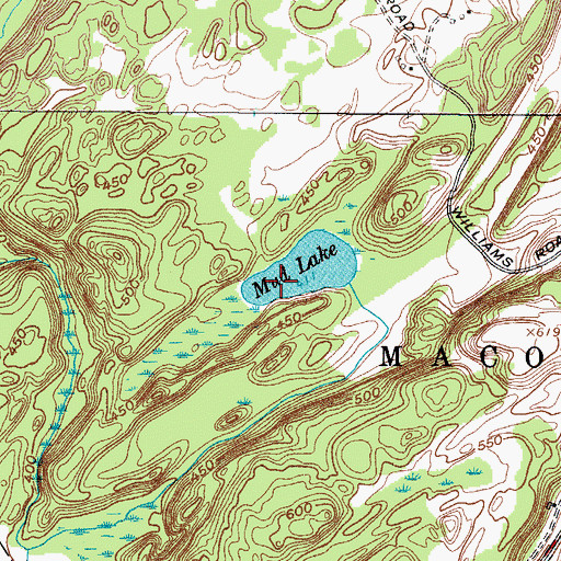 Topographic Map of Mud Lake, NY