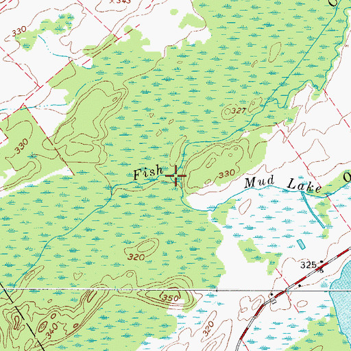 Topographic Map of Mud Lake Outlet, NY
