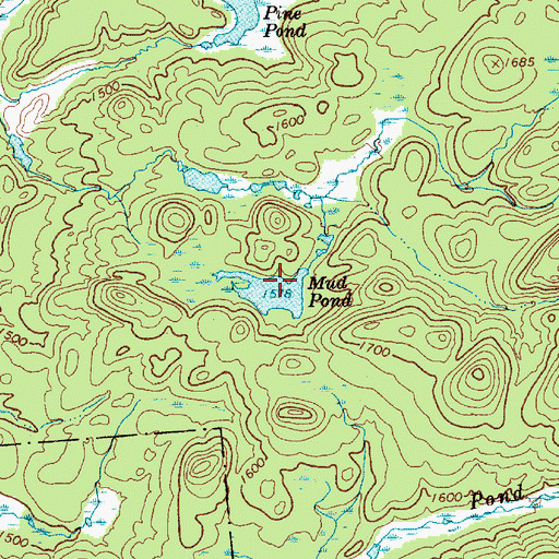 Topographic Map of Mud Pond, NY