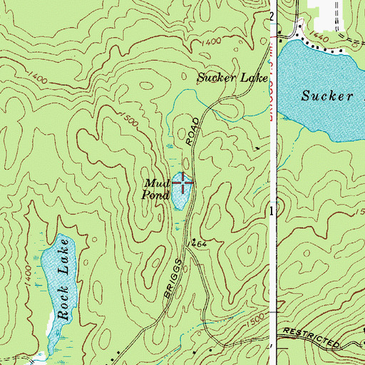 Topographic Map of Mud Pond, NY