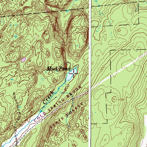 Topographic Map of Mud Pond, NY