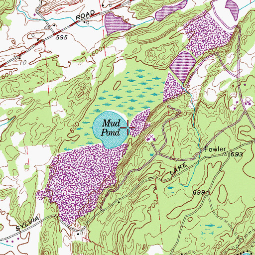 Topographic Map of Mud Pond, NY