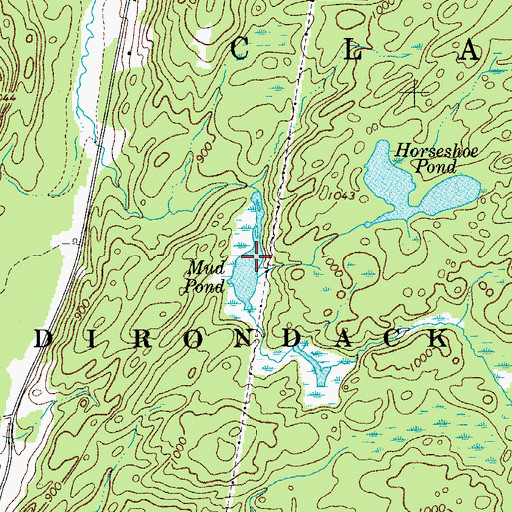 Topographic Map of Mud Pond, NY