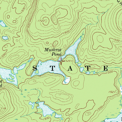 Topographic Map of Muskrat Pond, NY