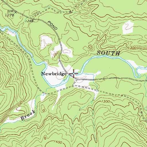 Topographic Map of Newbridge, NY