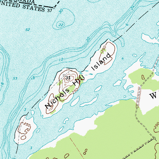 Topographic Map of Nichols Hill Island, NY