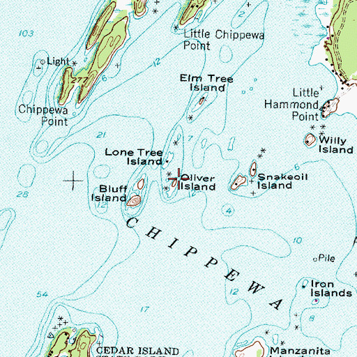 Topographic Map of Oliver Island, NY
