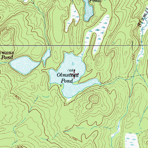 Topographic Map of Olmstead Pond, NY