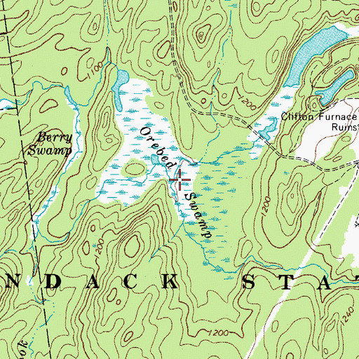Topographic Map of Orebed Swamp, NY