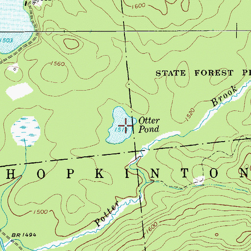 Topographic Map of Otter Pond, NY