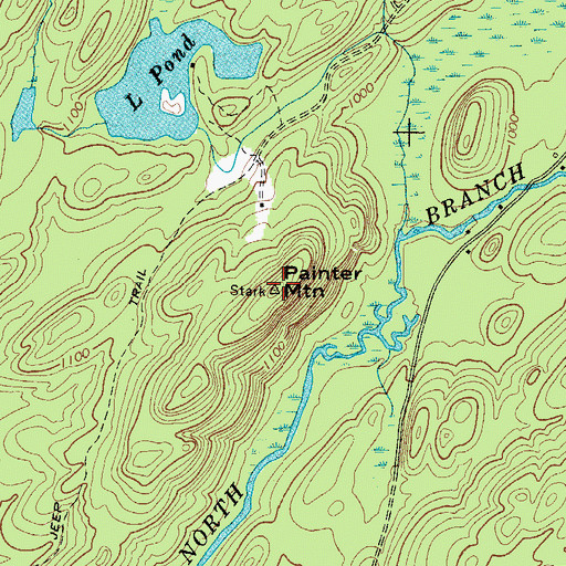 Topographic Map of Painter Mountain, NY