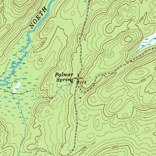 Topographic Map of Palmer Spring, NY