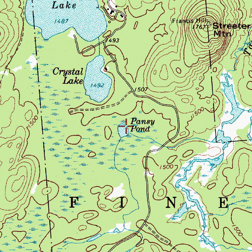 Topographic Map of Pansy Pond, NY